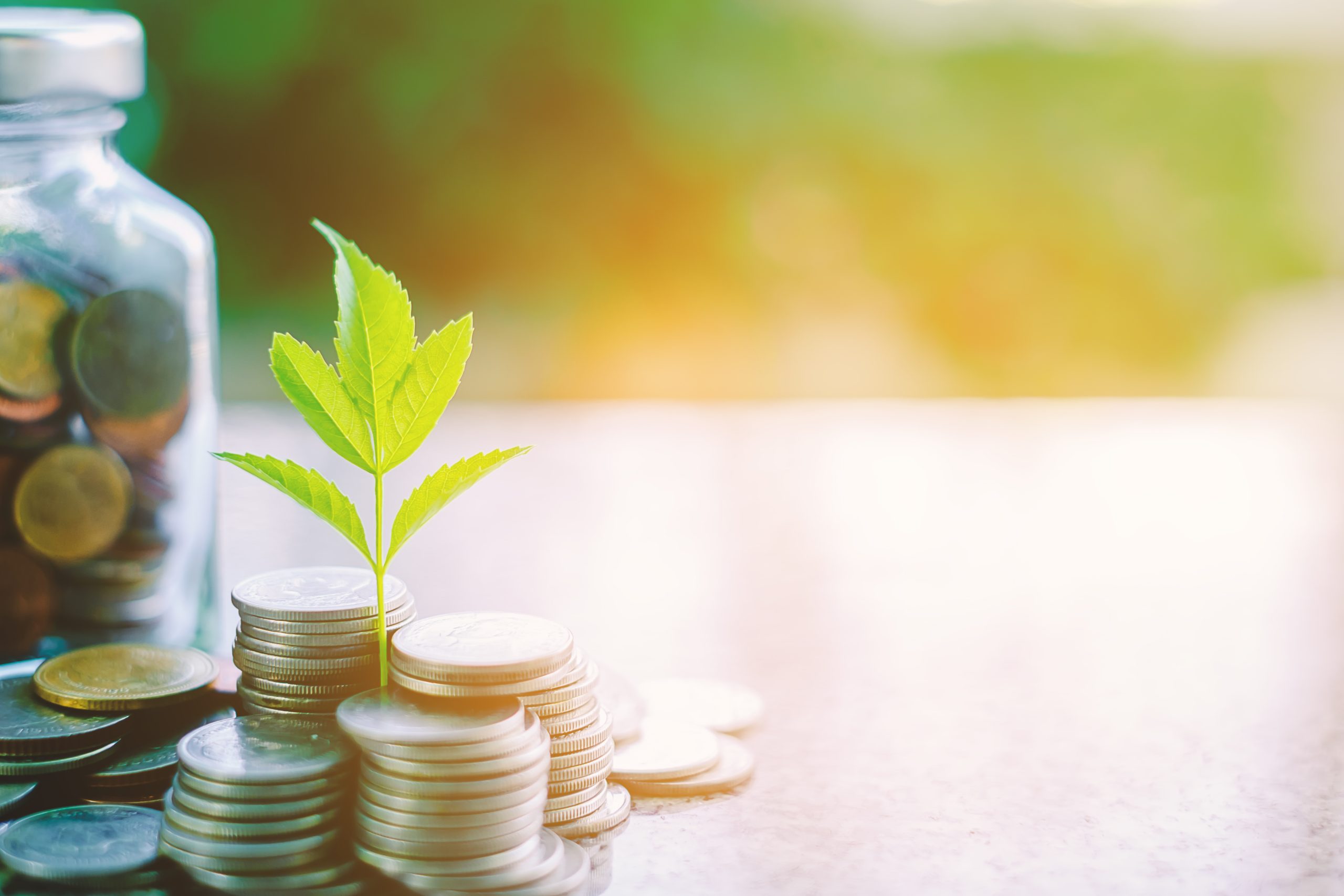 banca-responsable-1