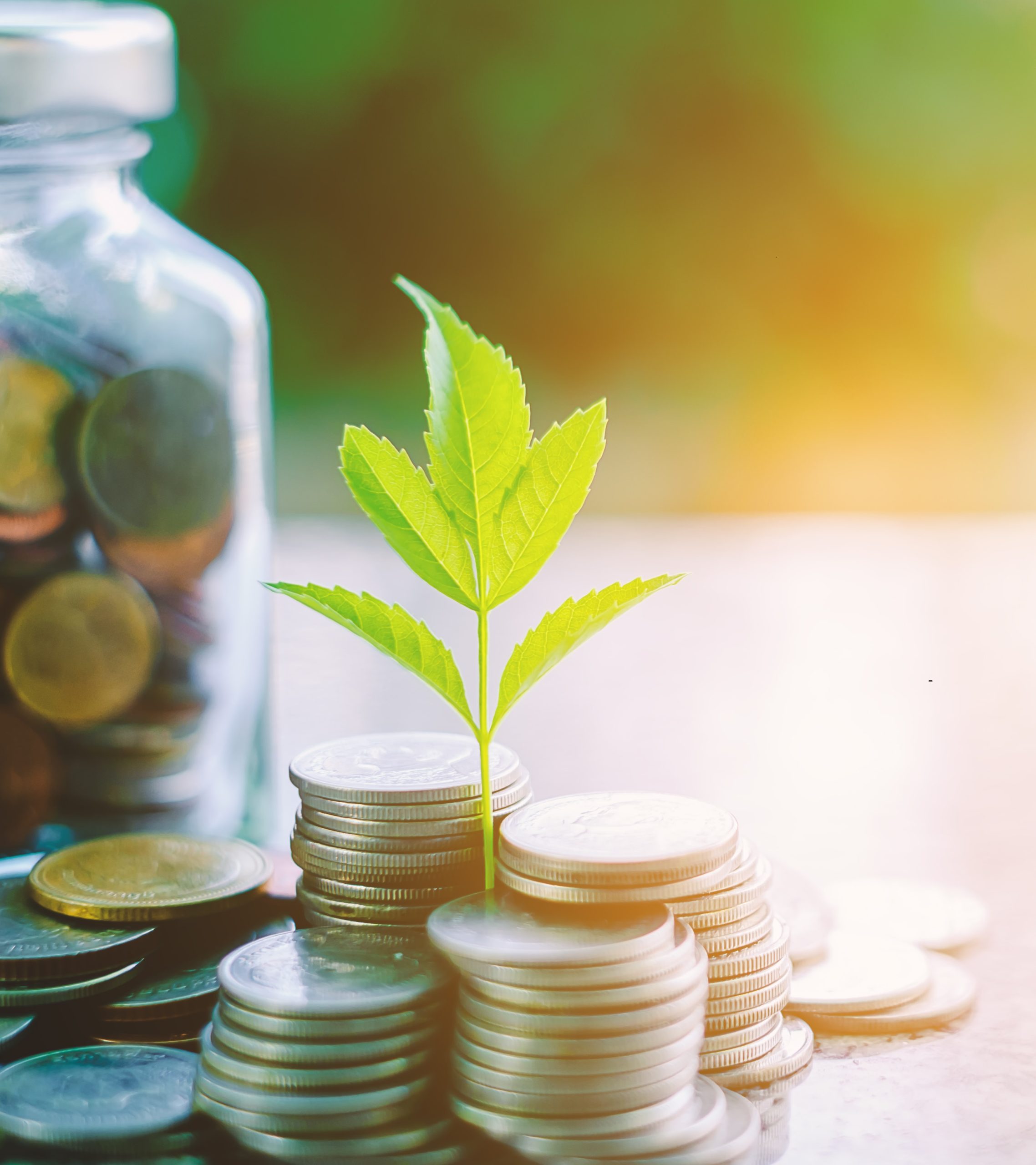 banca-responsable-copia