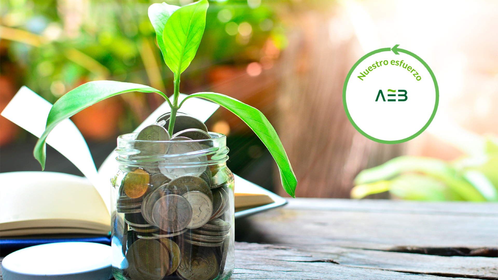 infografia-iniciativas