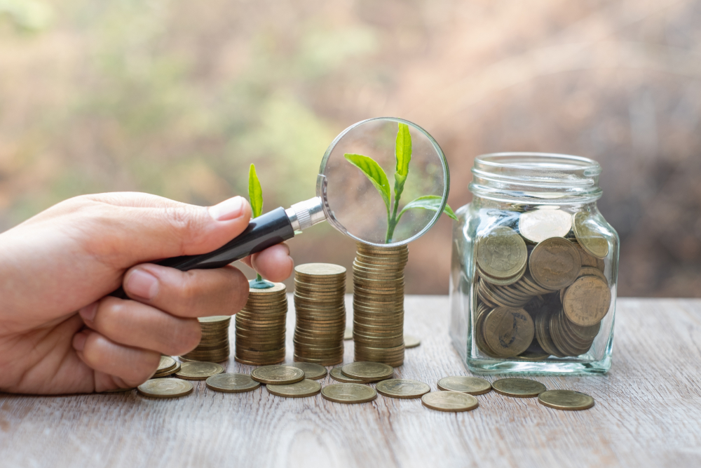 informacin-sostenibilidad