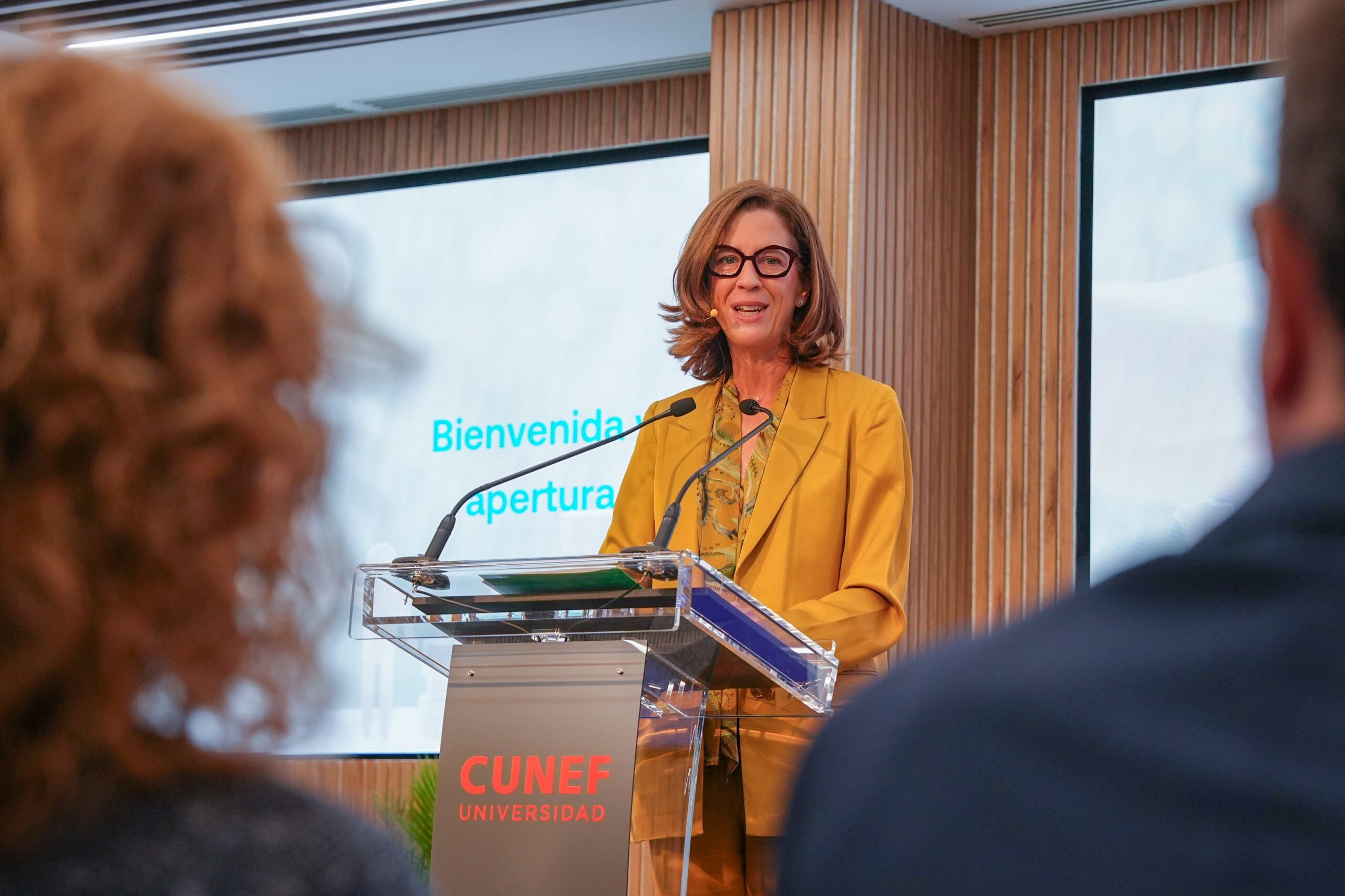 Alejandra Kindelán. Jornada sobre la simplificacion en el IEBF